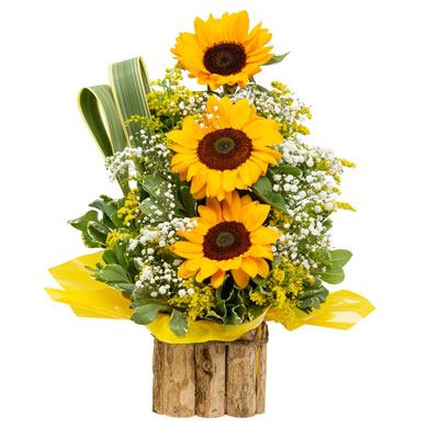 Work Sample Clipping Path Service